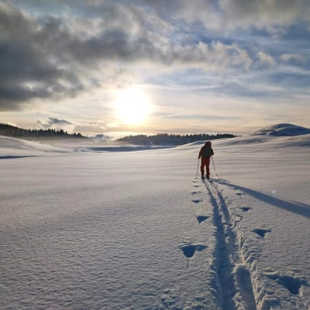 Skieur en randonnée nordique traversant un paysage enneigé du Haut Jura avec forêts de sapins et soleil bas à l'horizon