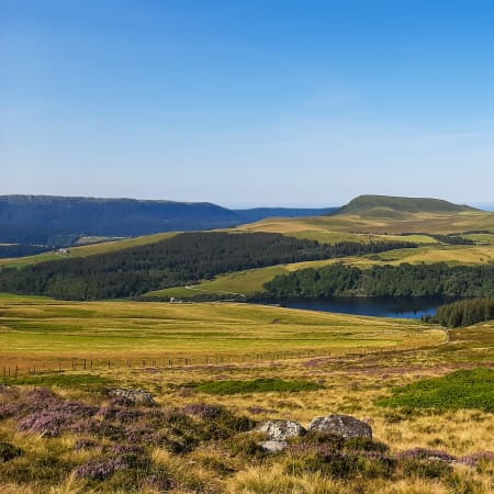 Paysage volcanique d'Auvergne avec lac, forêts de sapins et massif du Sancy sous ciel bleu