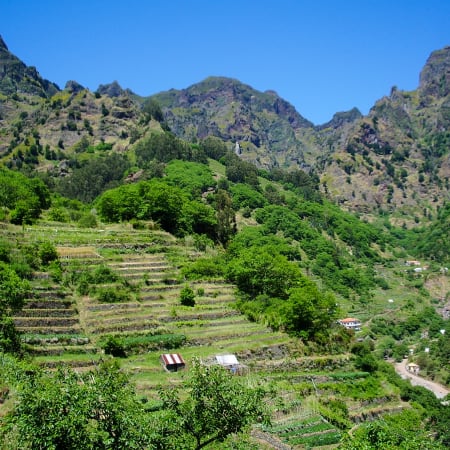 Paysage montagneux de Madère avec terrasses cultivées, végétation luxuriante et pics rocheux sous ciel bleu