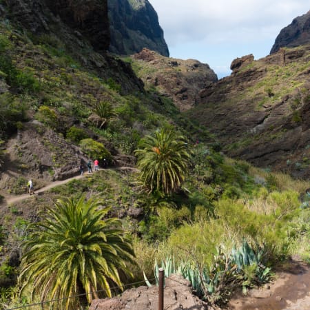 Vallée verdoyante de Santiago avec randonneurs explorant les montagnes, végétation luxuriante et palmiers du Cap Vert