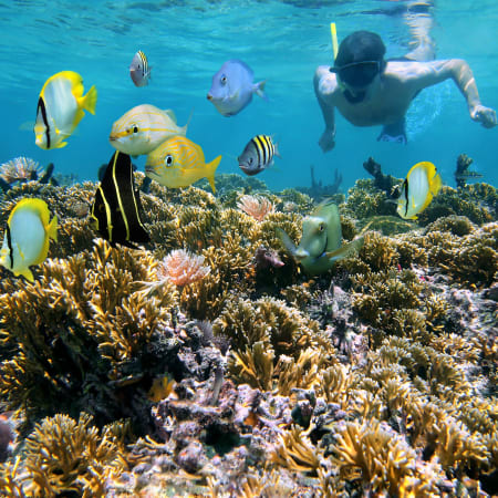 Séjour Snorkeling avec l'UCPA