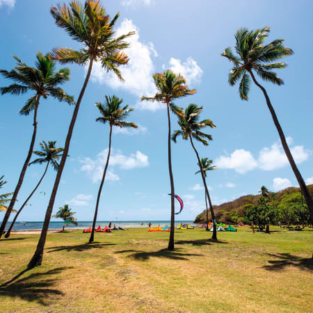Plage de la Martinique avec palmiers, lagon turquoise et activités de sports de glisse sous le soleil des Caraïbes