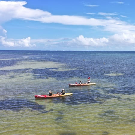 Kayakistes naviguant dans le lagon turquoise de la Martinique sous un ciel bleu dégagé