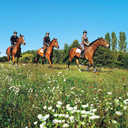 Equitation spécial débutant - Sans hébergement