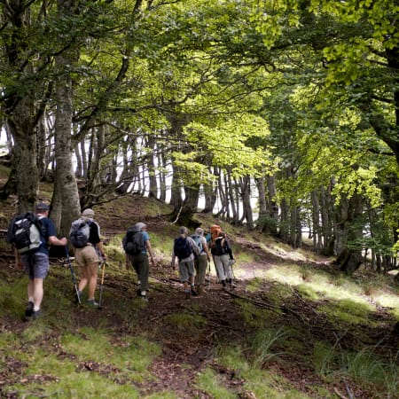 Chemin de Compostelle : Sarria – Santiago