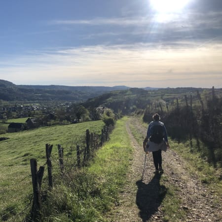 Chemin de Compostelle : Nasbinals - Conques
