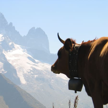La Grande Boucle de la vallée de Chamonix 