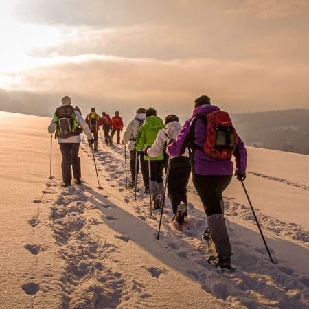 Break raquettes into the wild