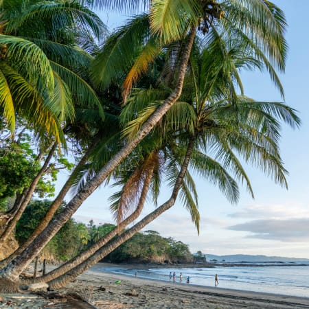 Découverte du Panama sauvage