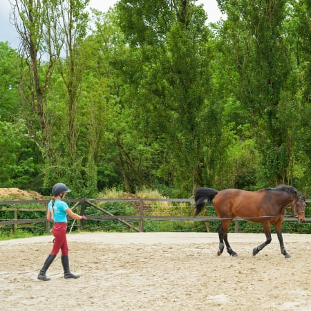 Full Équitation