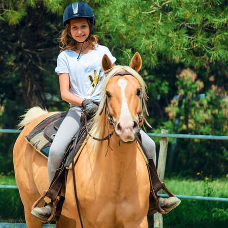 Full équitation