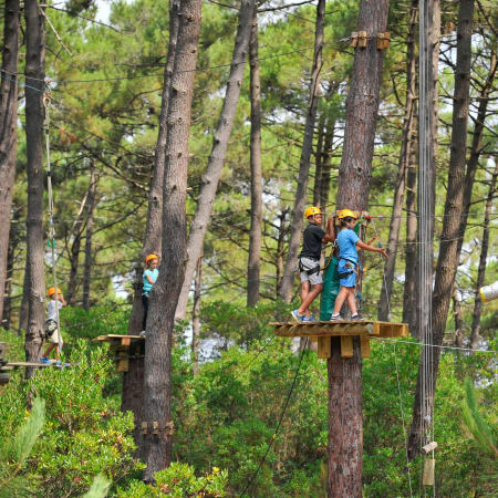Escapade dans les arbres