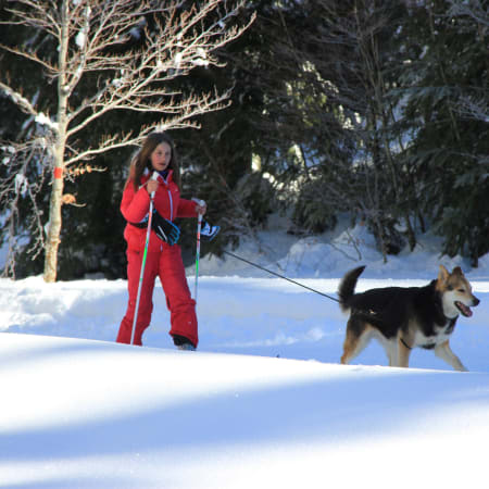 Ski joëring / Chiens et chevaux