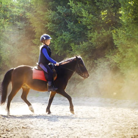 Full Équitation poney nature