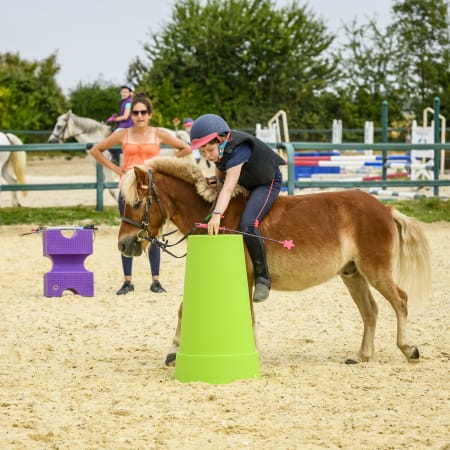 Full Equitation poney