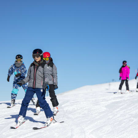 Full Ski