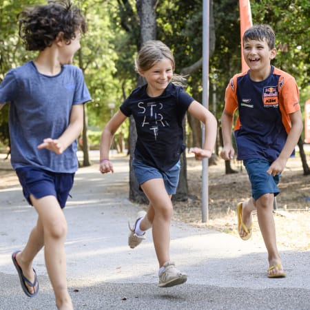 Multisports Toussaint - Sans hébergement