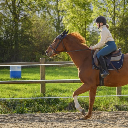 Full Equitation - Sans hébergement