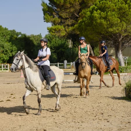 Equitation / Multisports