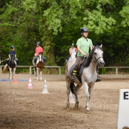 Full Équitation