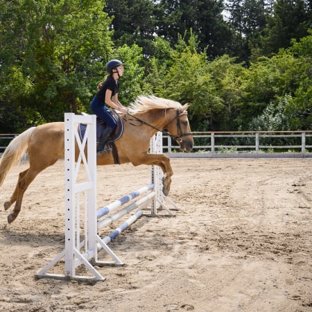 Full Équitation C.S.O.