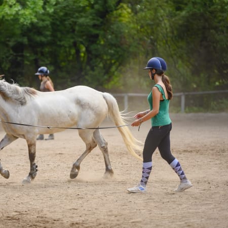 Full Équitation