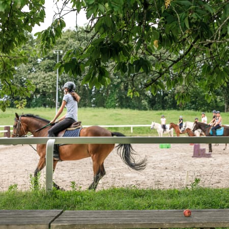 Équitation / Multisports