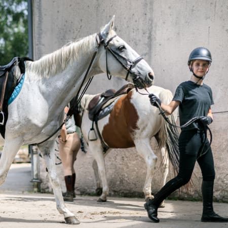 Full Équitation