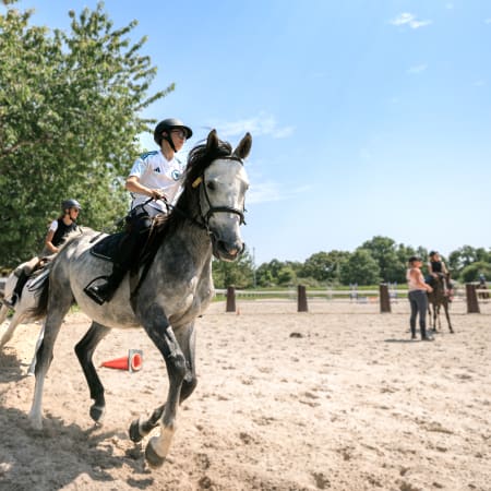 Full Équitation