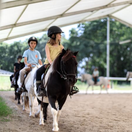 Découverte de l'équitation