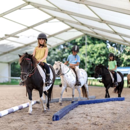 Full Équitation poney