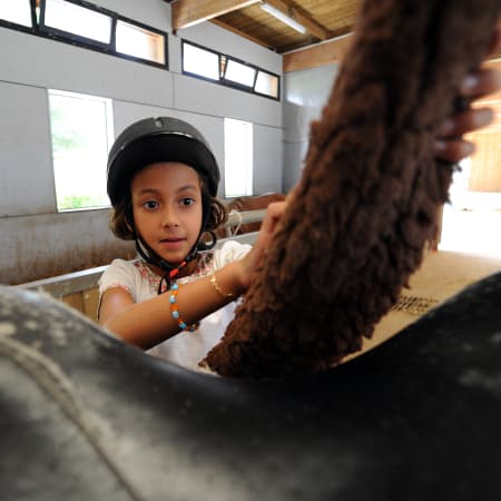 Équitation poney spécial débutant