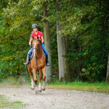 Equitation et Multisports Serre Che