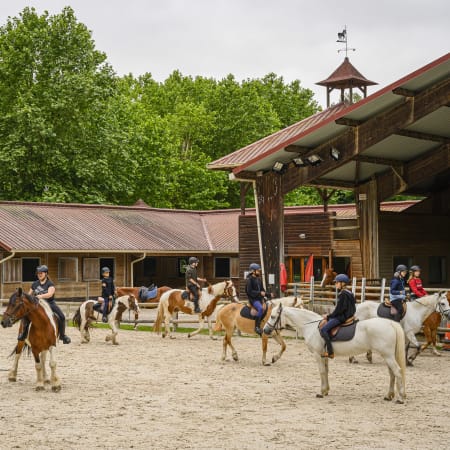 English & Horse Riding
