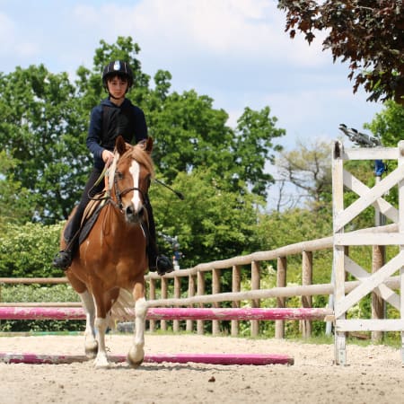 Full Équitation