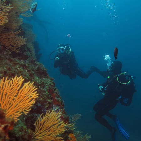 Plongée autonome Côte bleue