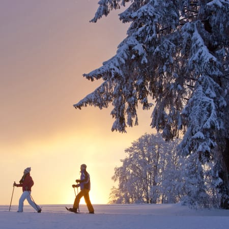 Escapade Jurassienne : nuit en tipi, raquettes et ski nordique