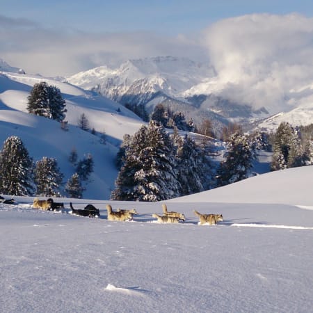 Nouvel an aventure en Savoie