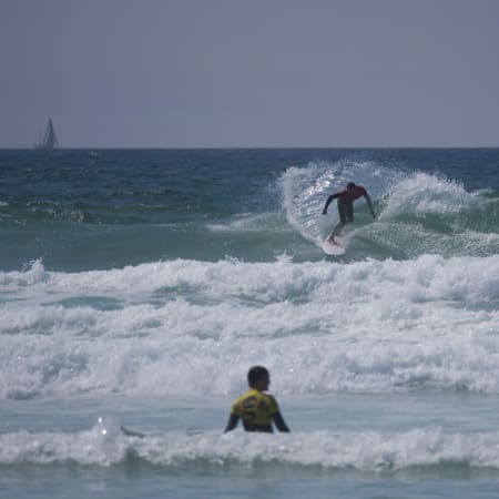 Surf Free Session