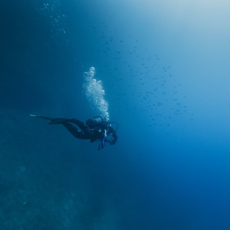 Plongée exploration Côte bleue - 5 jours - Sans hébergement