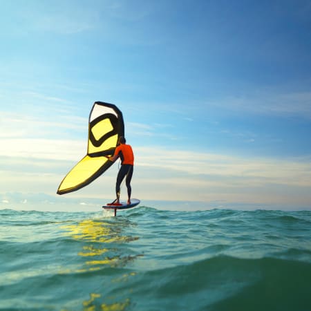 Full Windsurf-Wingsurf-Paddle