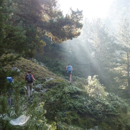 Pyrénées sauvages