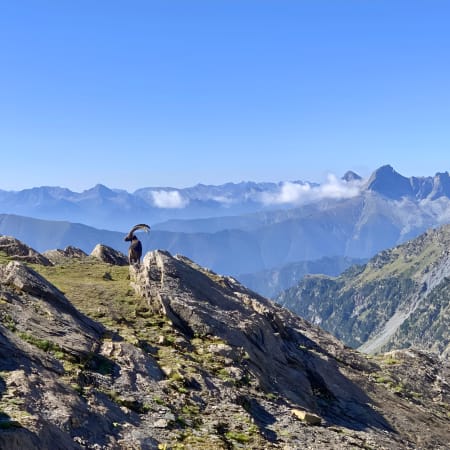 Tour du Viso