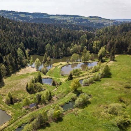 Aventure éco-responsable au coeur de la forêt Vosgienne