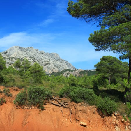 Randonnée équestre sur les traces de Cézanne en Provence