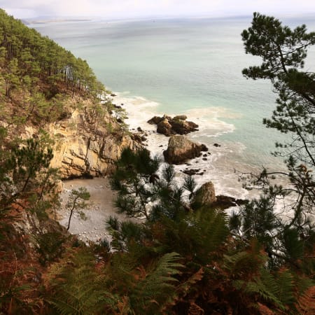 Nouvel An à Crozon : Randonnée, Jeux de Société et Culture Bretonne