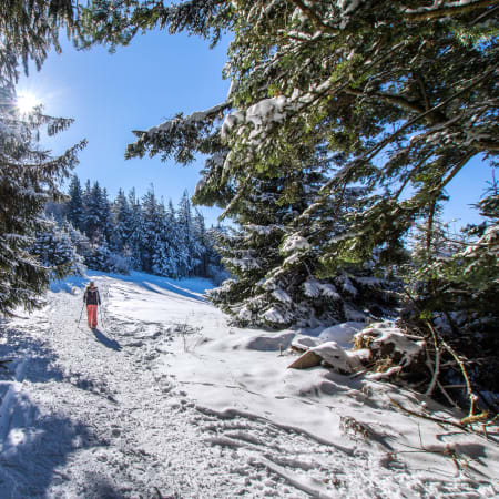 Break Nouvel An dans les Vosges, au pied du Hohneck
