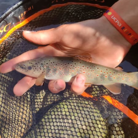 Pêche et Multisports Serre Che