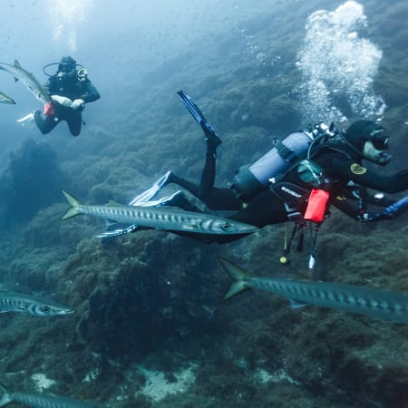 Break 4 jours Plongée exploration Giens et Porquerolles