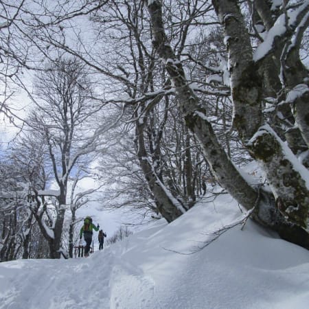 Escapade gourmande dans le Cantal, entre raquettes et truffade